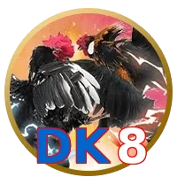 DK8